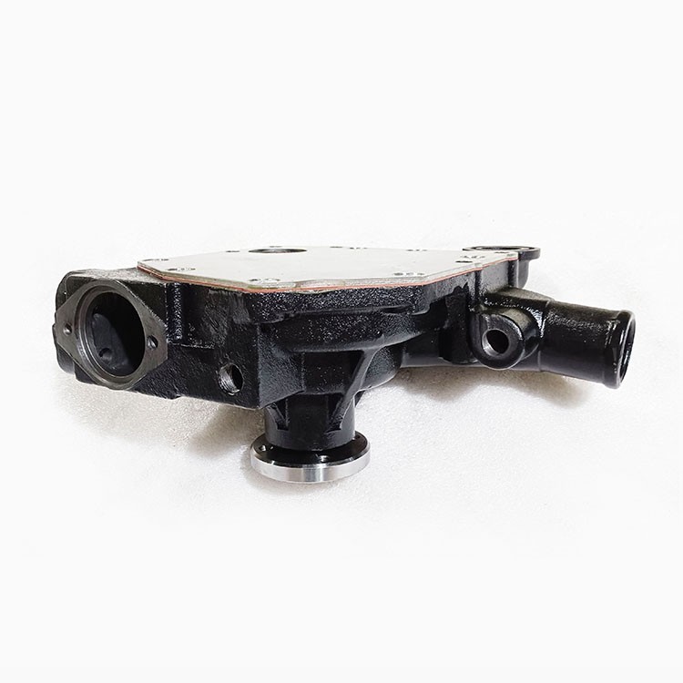 Marine Diesel Engine Parts B3.3 QSB3.3 Water Pump 1693607 5364846 4955733