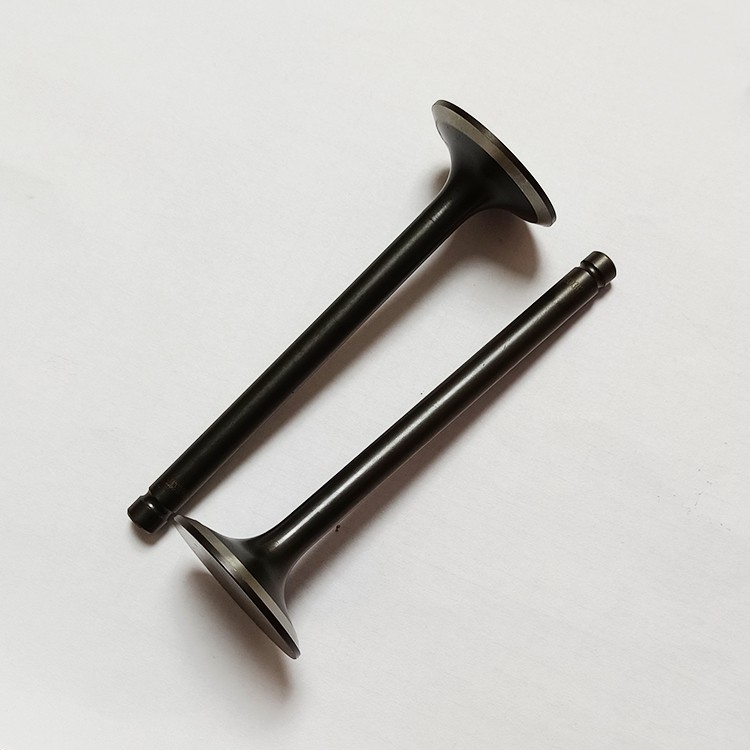 Machinery Diesel Engine Spare Parts A2300 Excavator Intake And Exhaust Valves 4900337 4900338