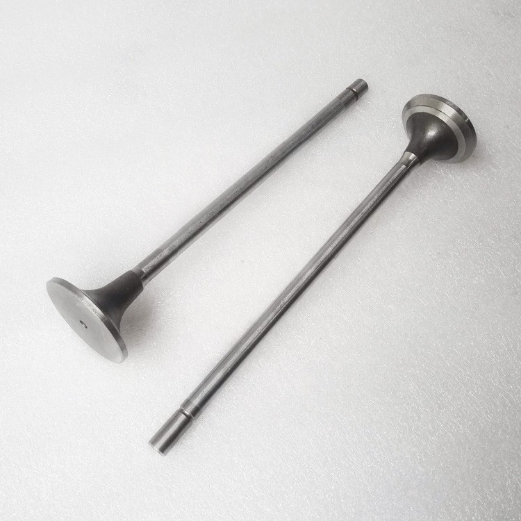 Cummins Industrial Diesel Spare Engine Parts Intake Valve 4101454