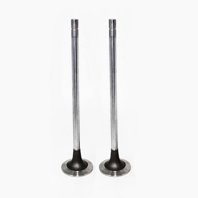 Heavy Truck Engine Parts X15 Engine Intake Valve 4965868