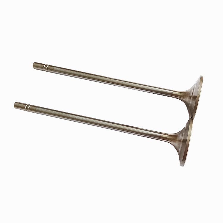 2102542 Caterpillar Machinery Engine Inlet Valve 4688824 Excavator 3512 Diesel Engine Intake Valve 2102542