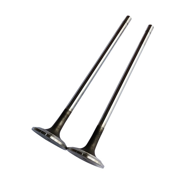 Truck Diesel Engine Parts Renault Intake Valve D5010359502