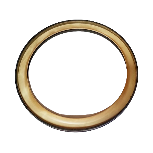 D5010295831 Crankshaft Rear Oil Seal Heavy Duty Fuel Saving Engine Renault DCI11 Parts