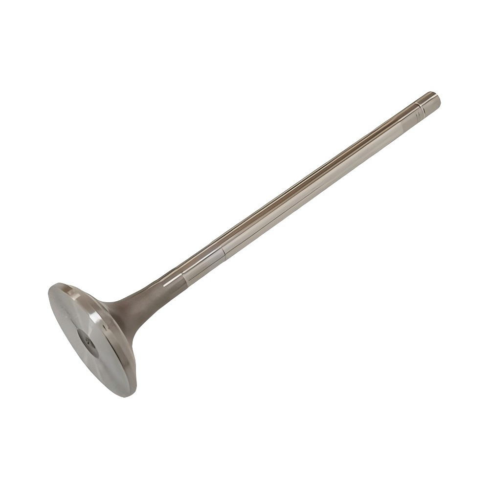 4007180 Exhaust Valve Heavy Machinery Truck Diesel Engine QSK23 Part